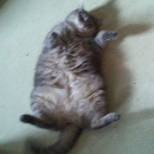 Meet your Posher, Deborah